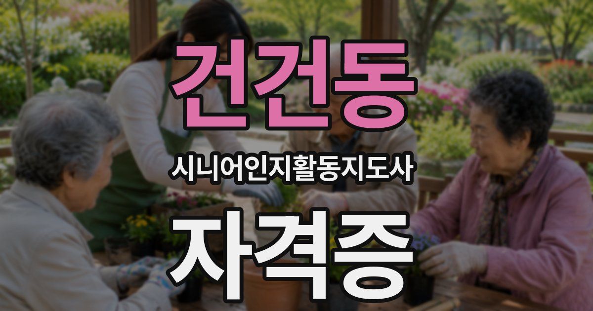 건건동 시니어인지활동지도사 자격증
