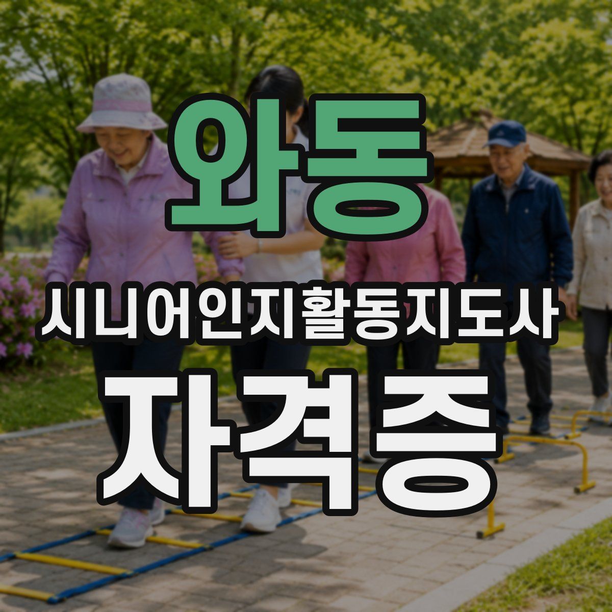 와동 시니어인지활동지도사 자격증