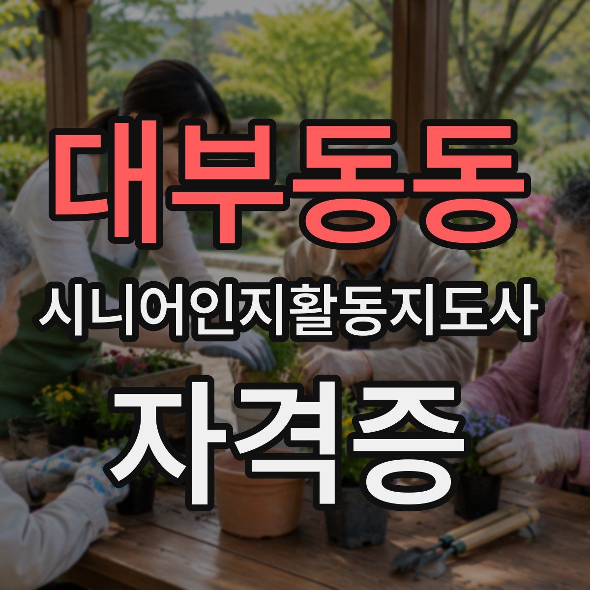 대부동동 시니어인지활동지도사 자격증