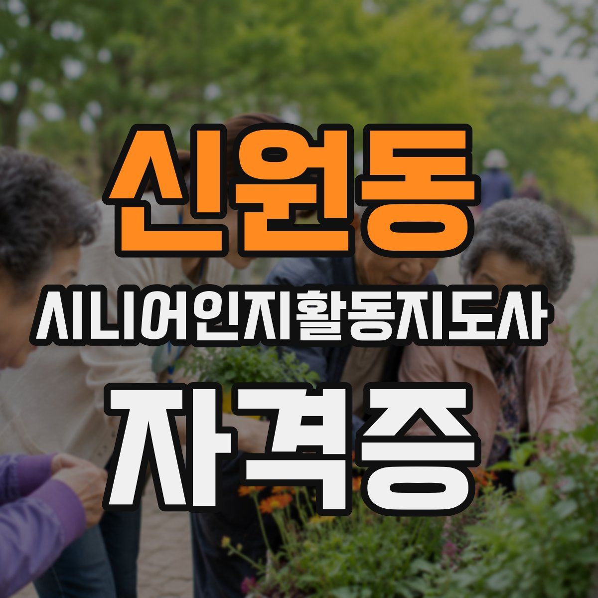 신원동 시니어인지활동지도사 자격증