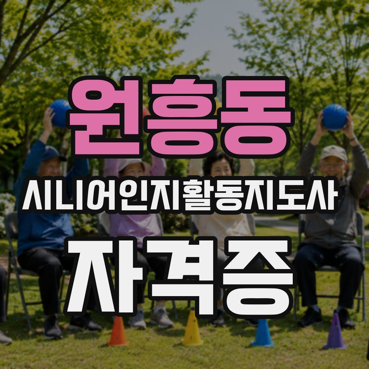 원흥동 시니어인지활동지도사 자격증