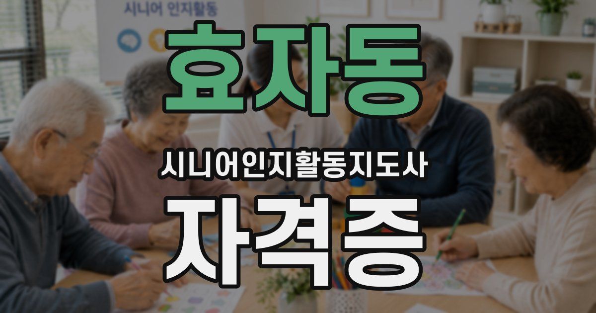 효자동 시니어인지활동지도사 자격증