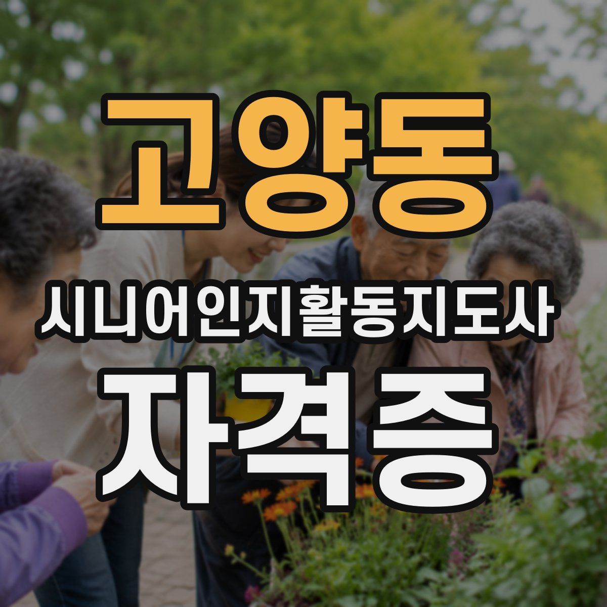 고양동 시니어인지활동지도사 자격증