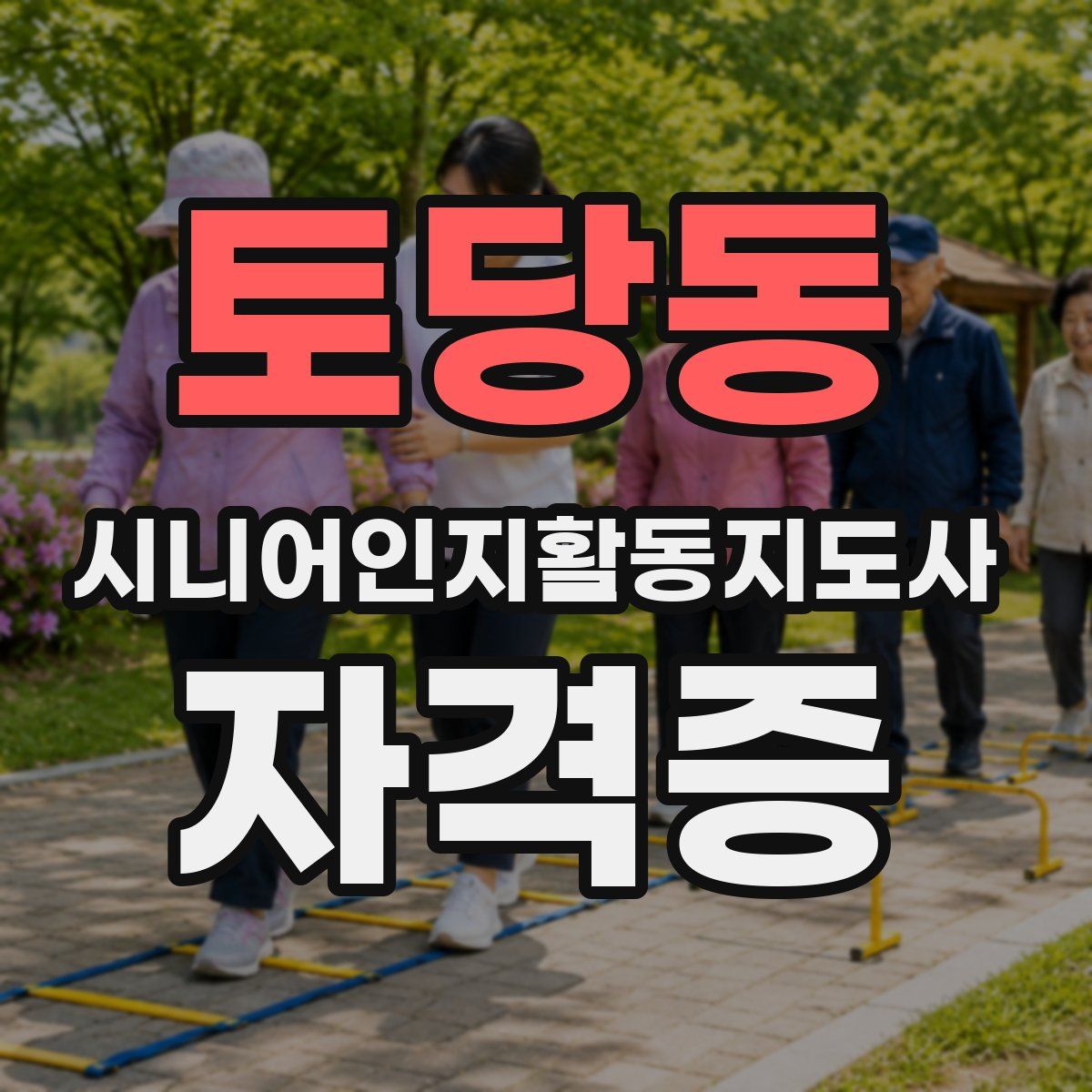 토당동 시니어인지활동지도사 자격증