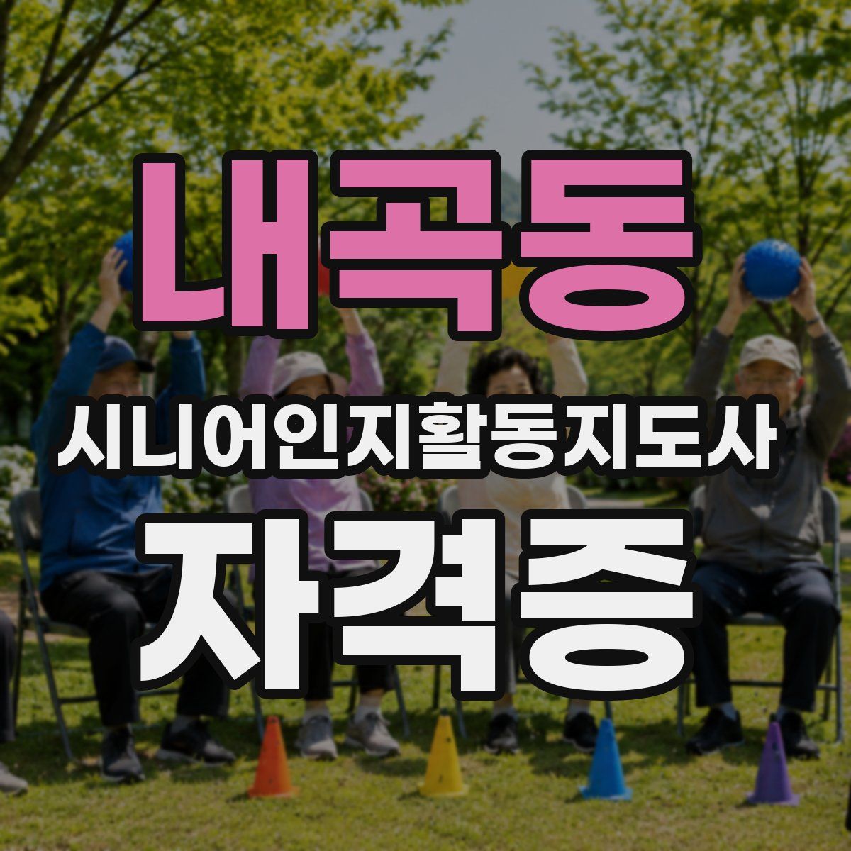 내곡동 시니어인지활동지도사 자격증