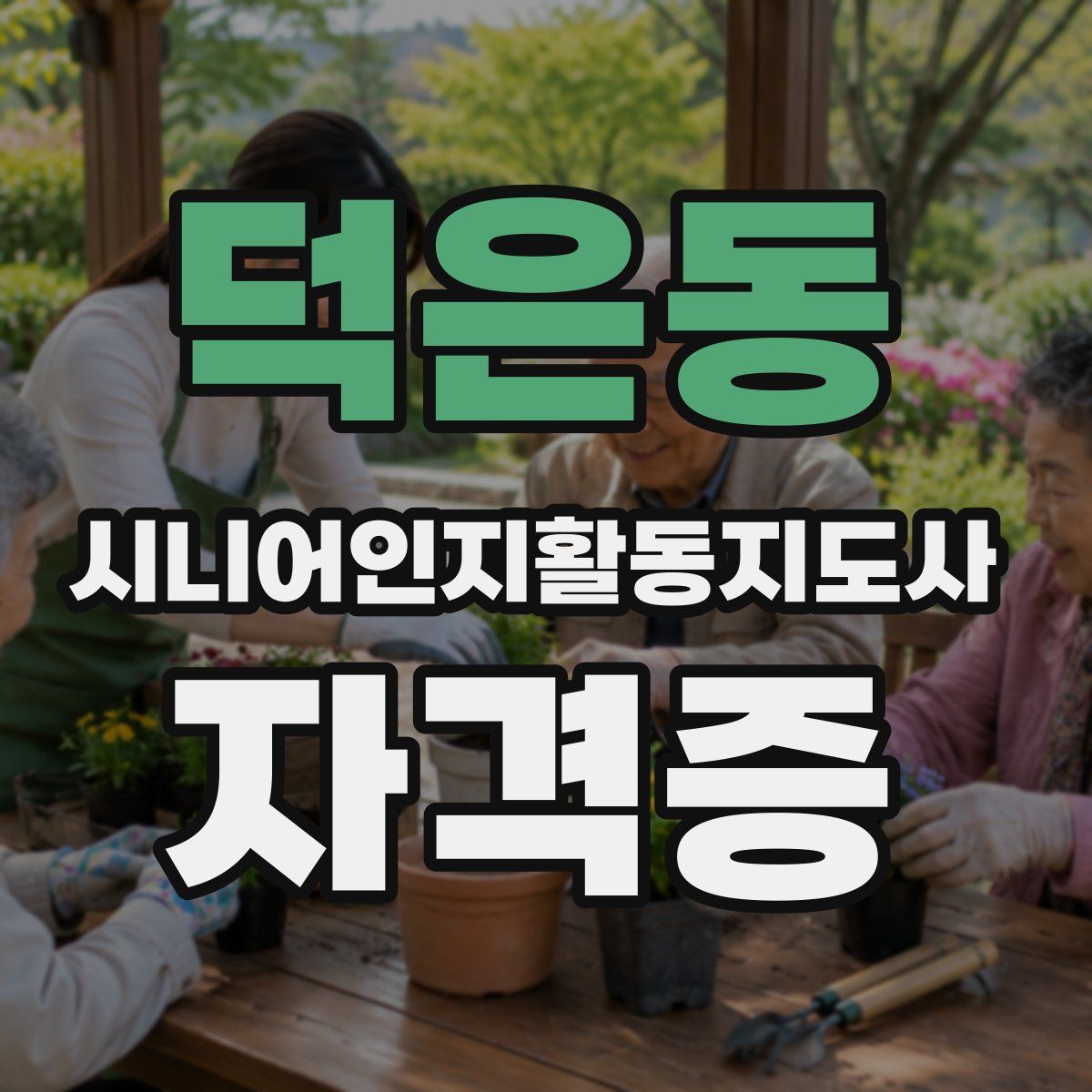 덕은동 시니어인지활동지도사 자격증