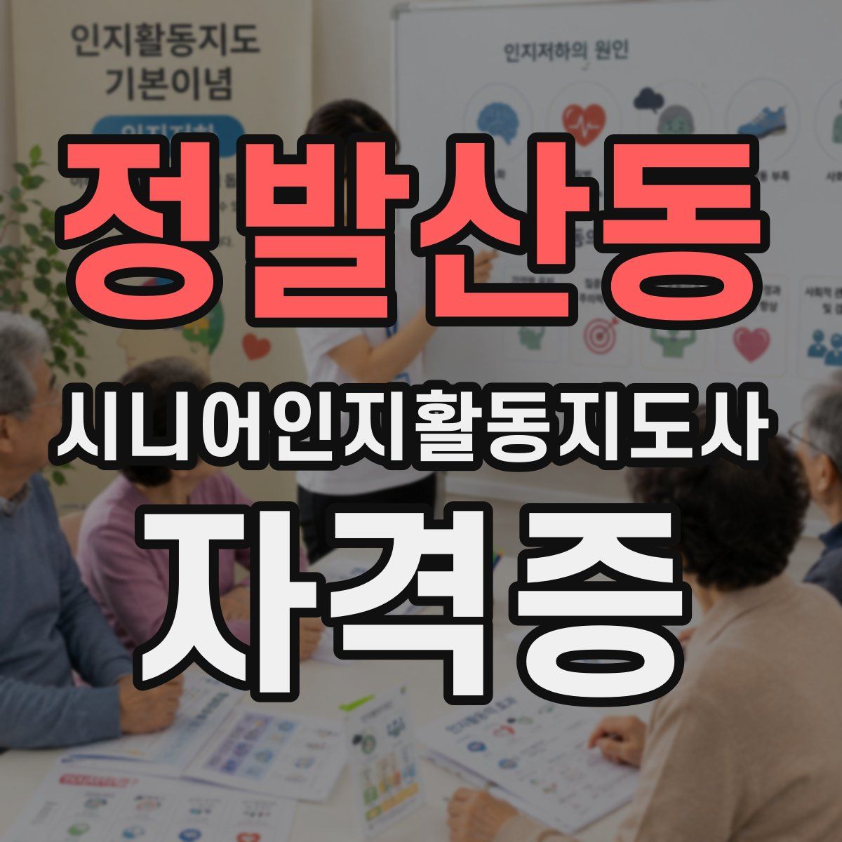 정발산동 시니어인지활동지도사 자격증