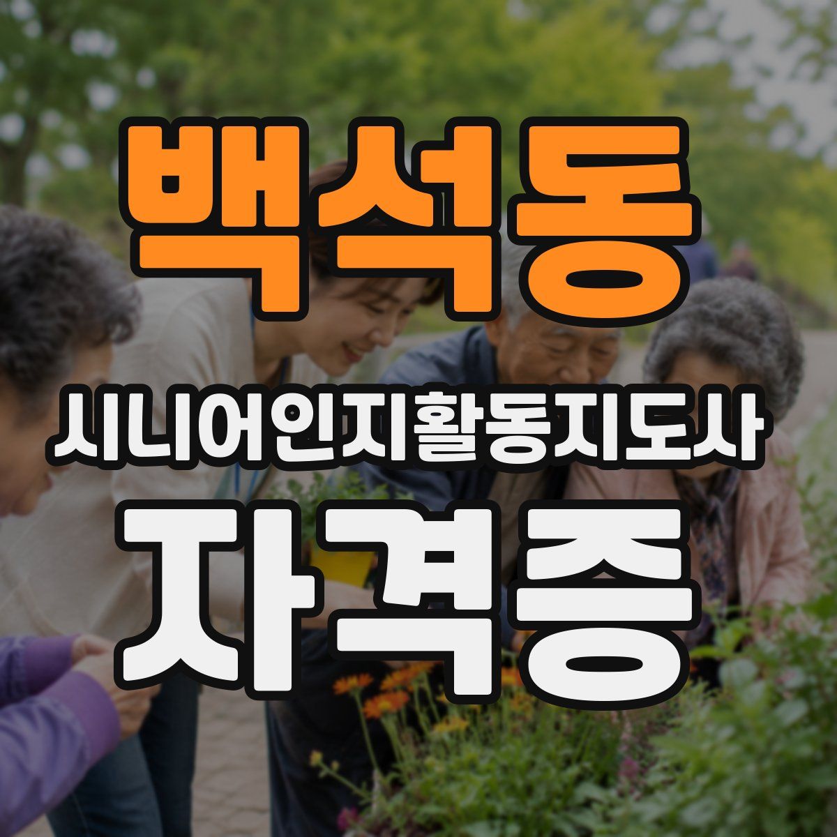 백석동 시니어인지활동지도사 자격증