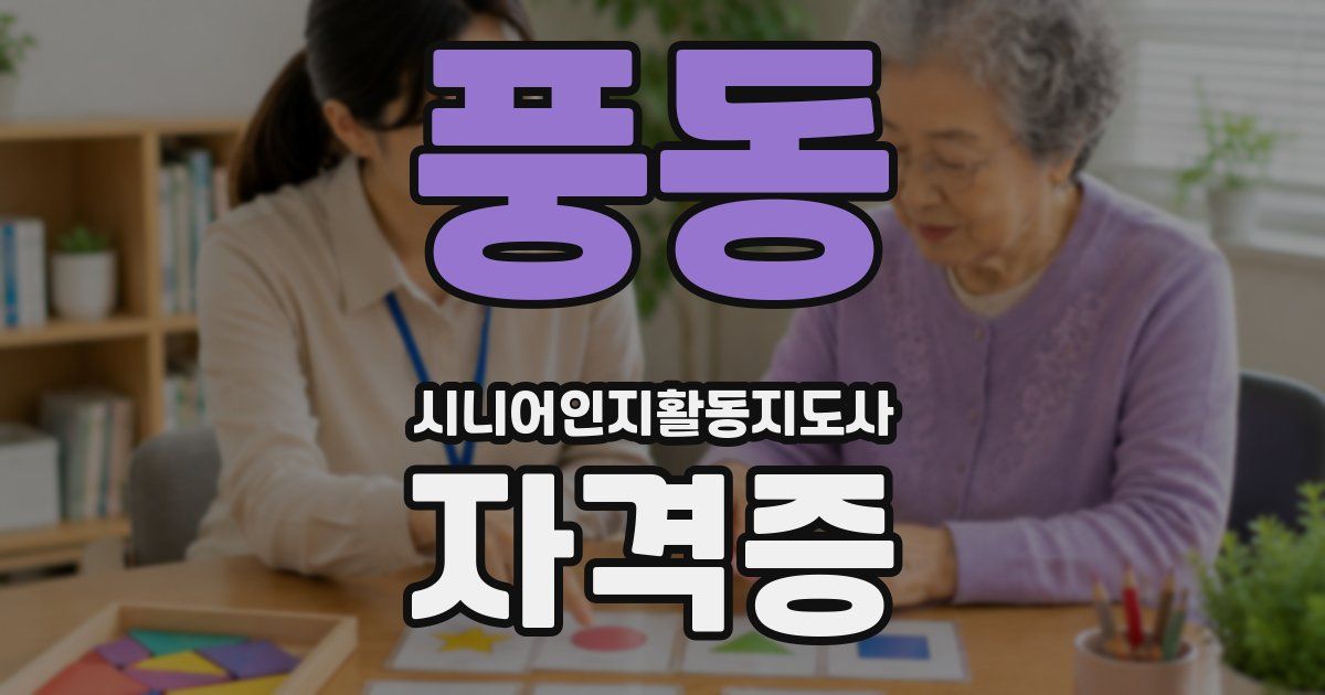 풍동 시니어인지활동지도사 자격증