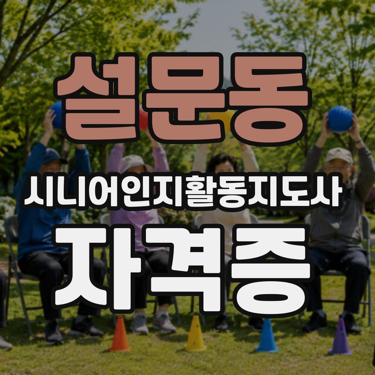 설문동 시니어인지활동지도사 자격증