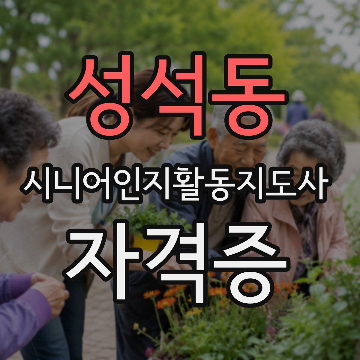 성석동 시니어인지활동지도사 자격증