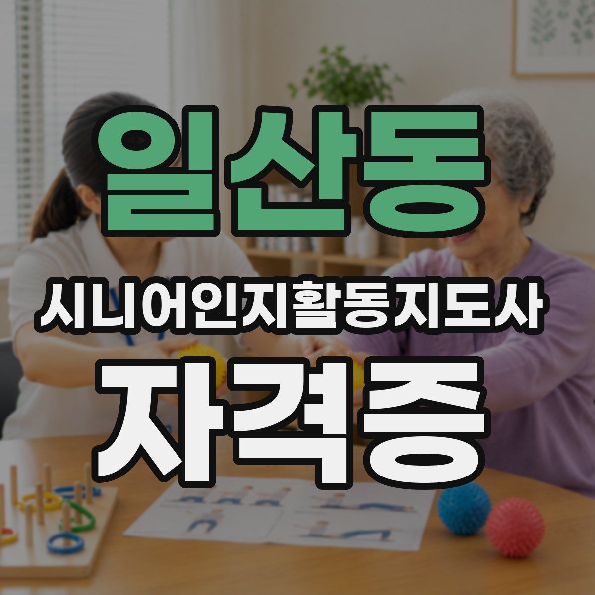 일산동 시니어인지활동지도사 자격증