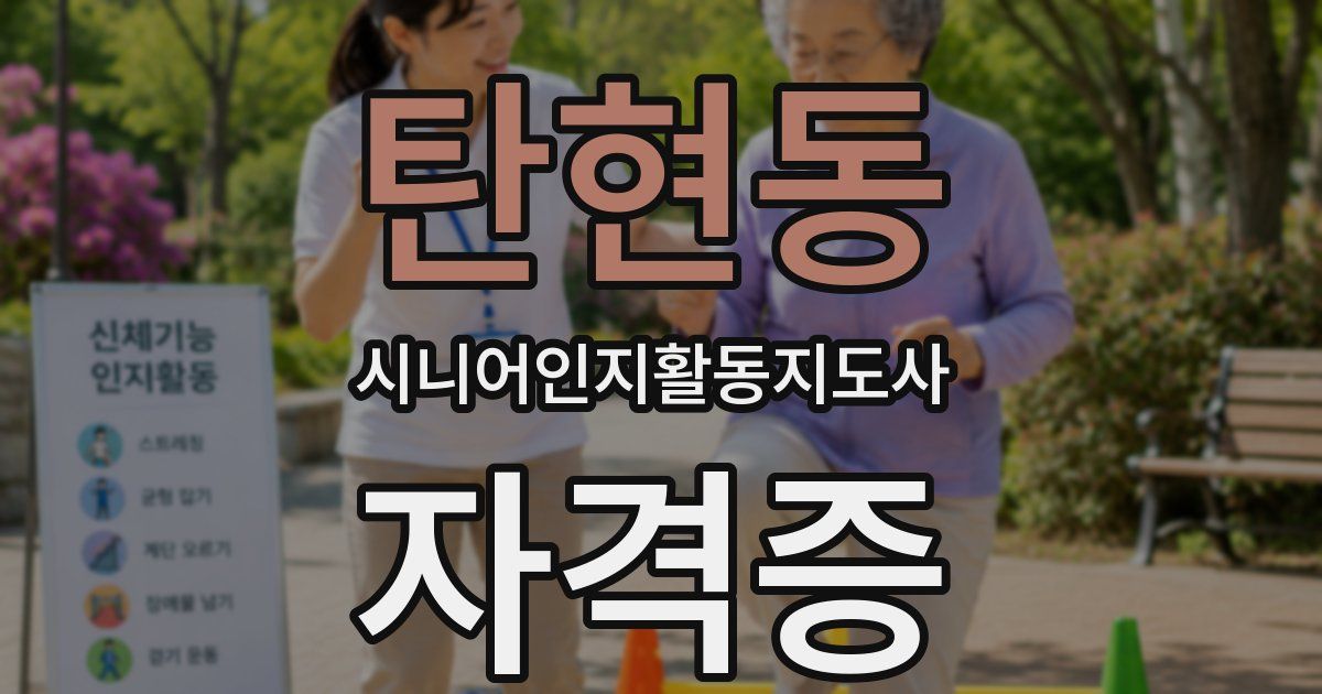 탄현동 시니어인지활동지도사 자격증