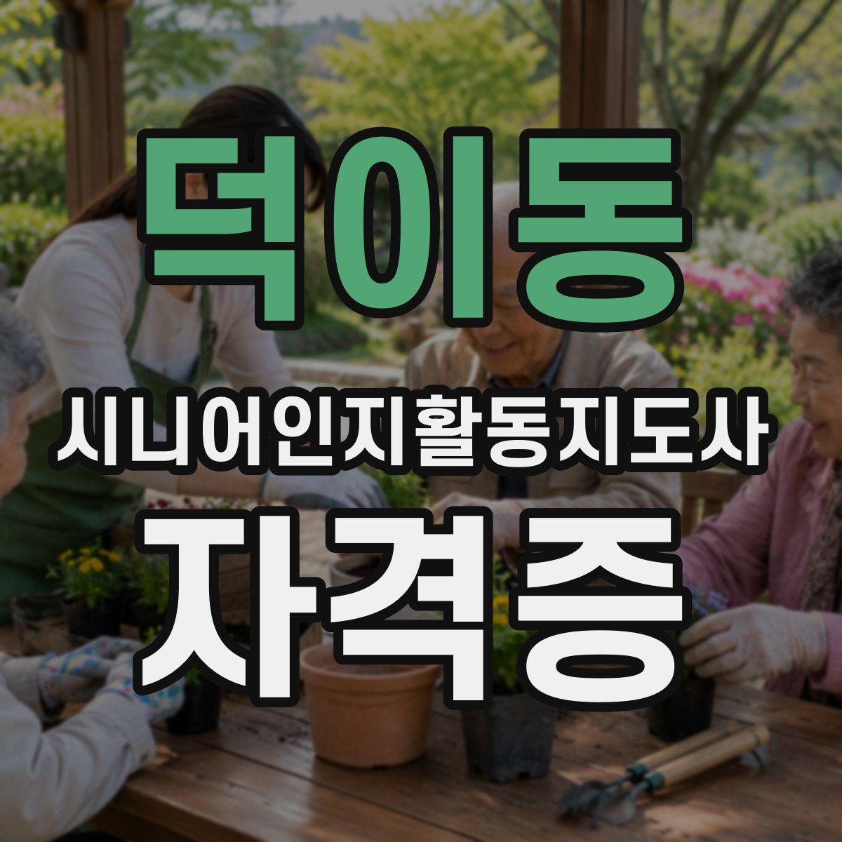 덕이동 시니어인지활동지도사 자격증