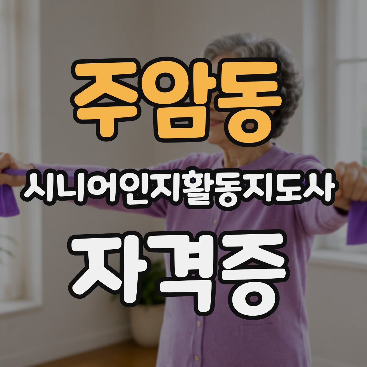 주암동 시니어인지활동지도사 자격증