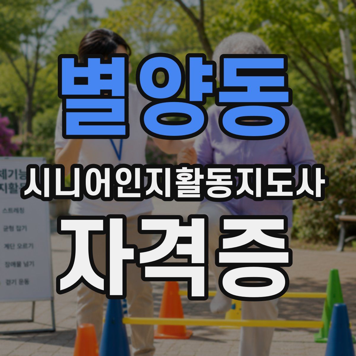별양동 시니어인지활동지도사 자격증