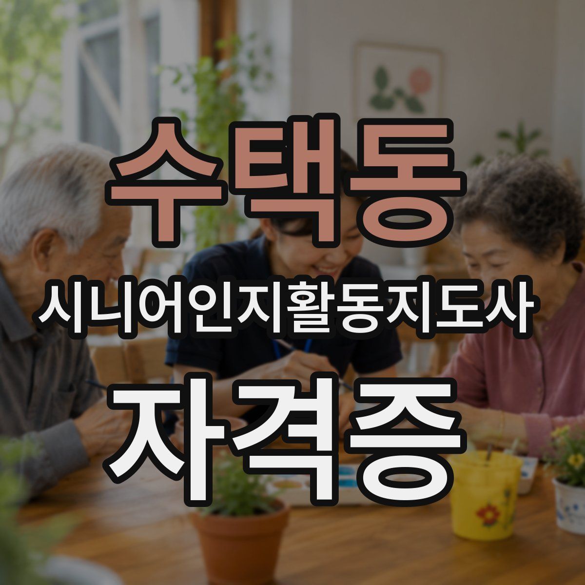 수택동 시니어인지활동지도사 자격증
