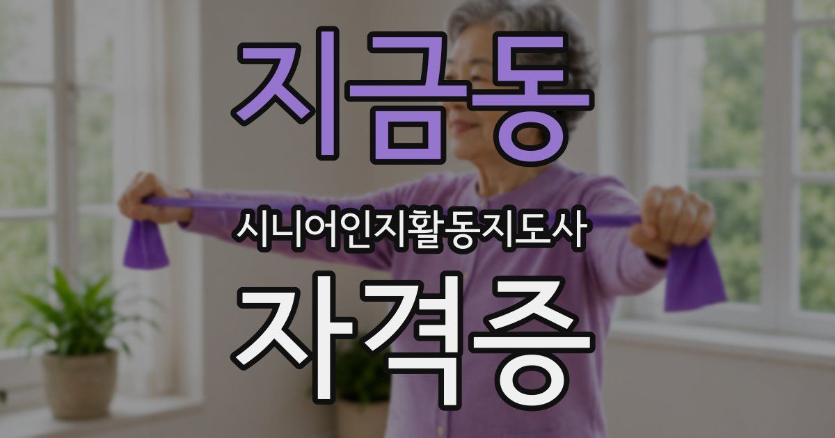 지금동 시니어인지활동지도사 자격증