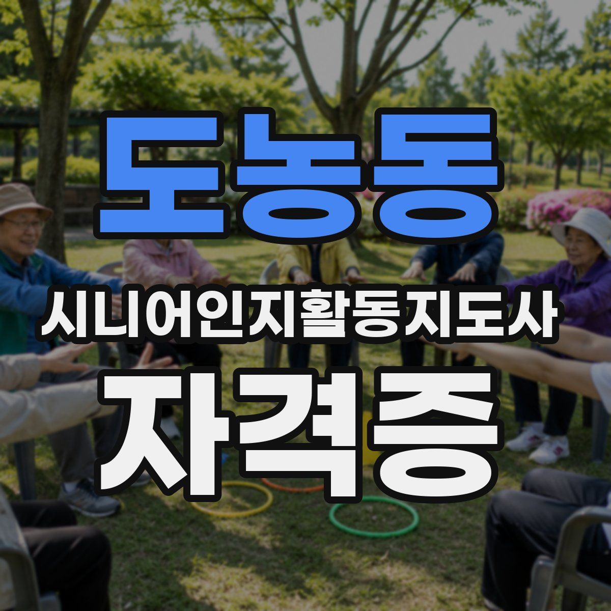 도농동 시니어인지활동지도사 자격증