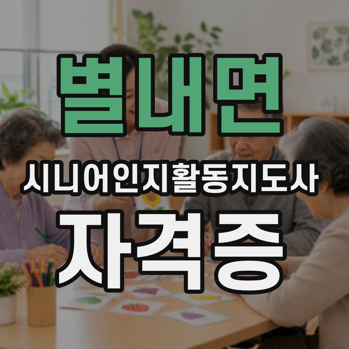 별내면 시니어인지활동지도사 자격증