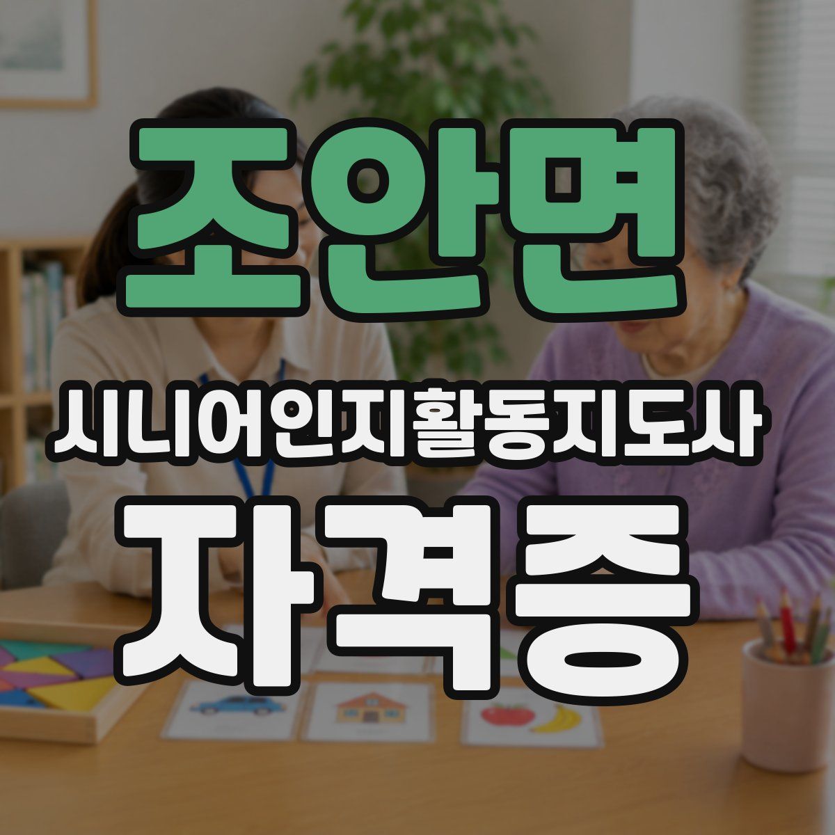 조안면 시니어인지활동지도사 자격증