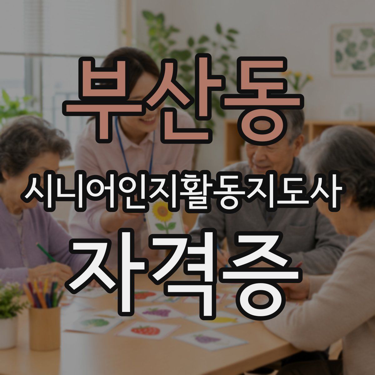 부산동 시니어인지활동지도사 자격증