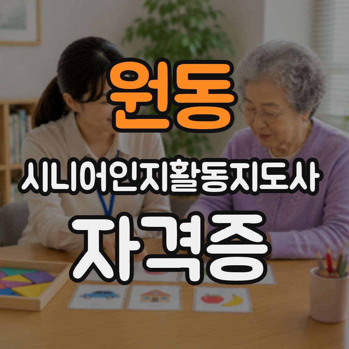 원동 시니어인지활동지도사 자격증