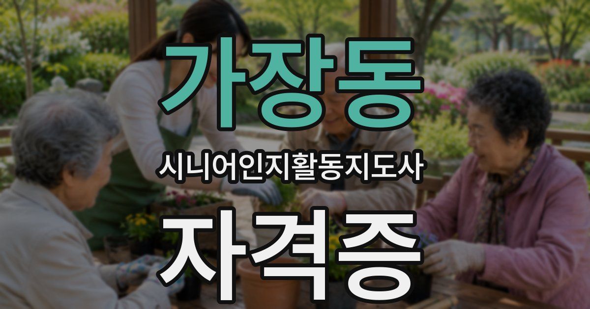 가장동 시니어인지활동지도사 자격증