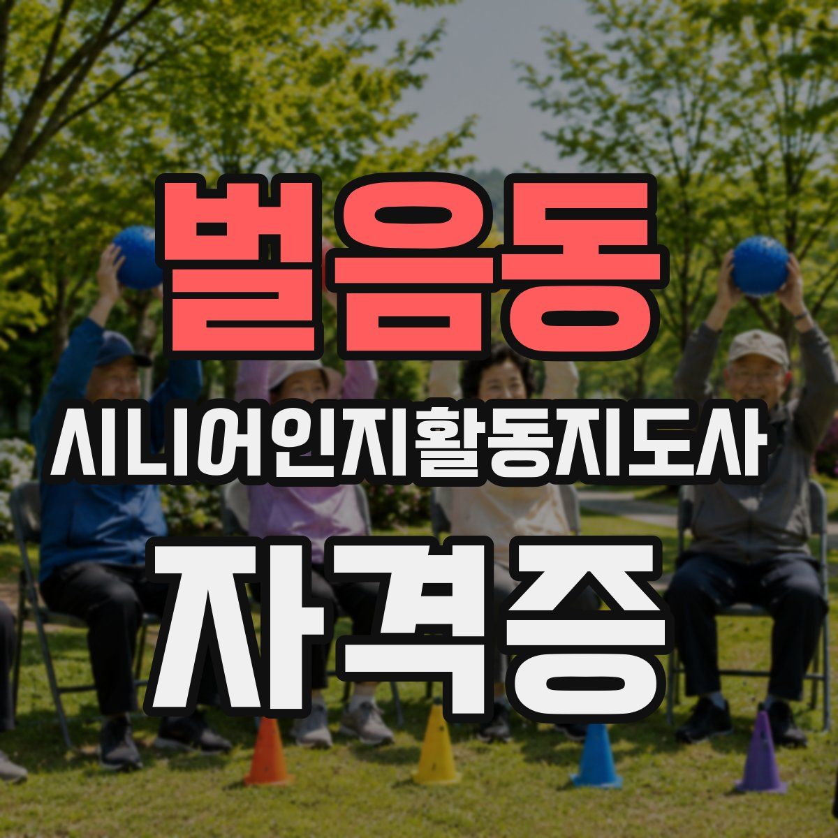 벌음동 시니어인지활동지도사 자격증