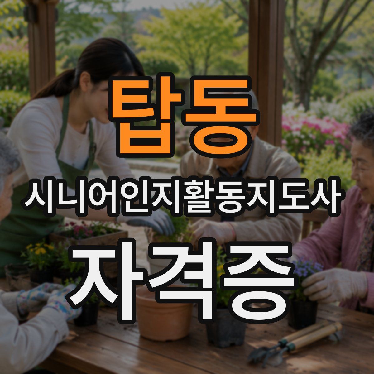 탑동 시니어인지활동지도사 자격증