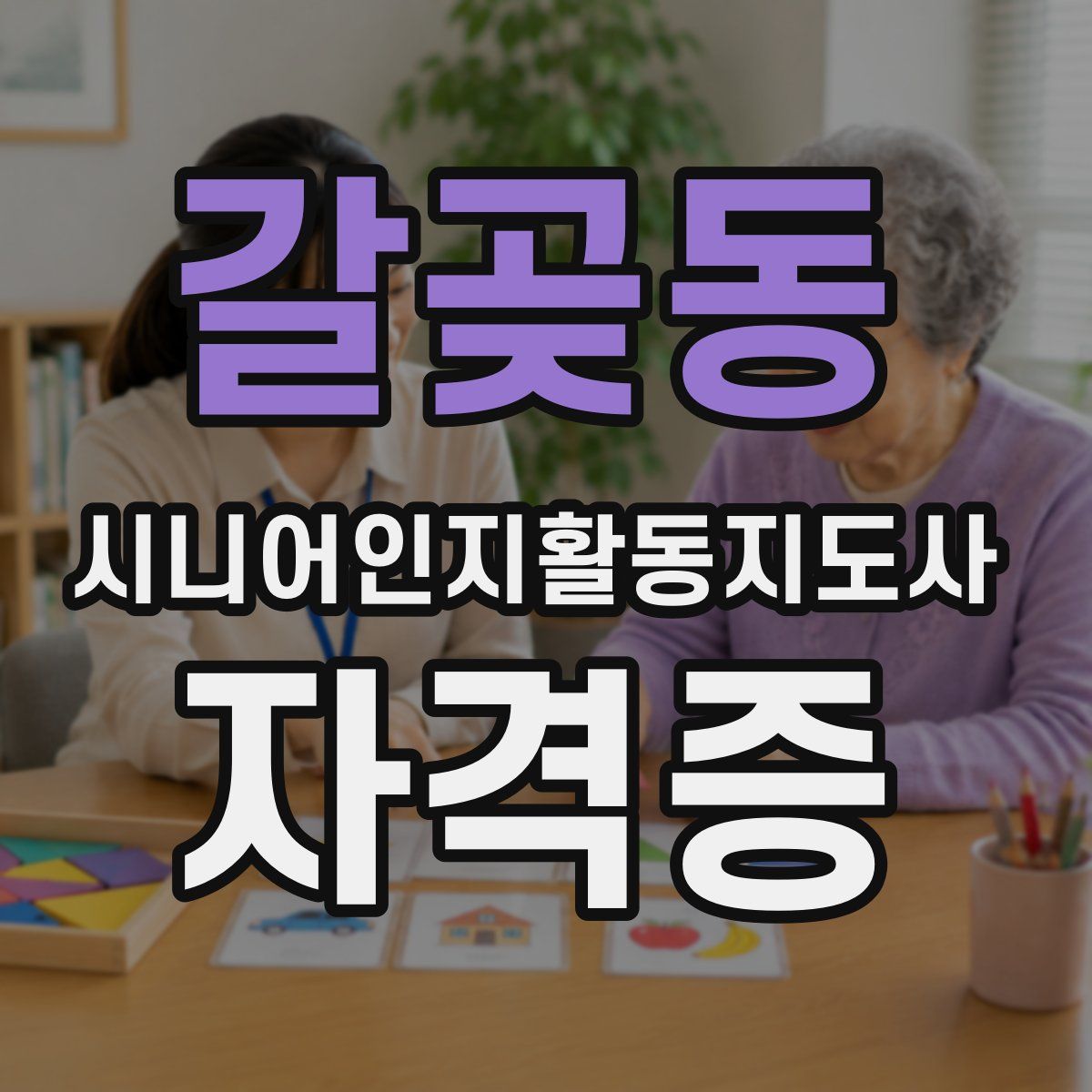 갈곶동 시니어인지활동지도사 자격증
