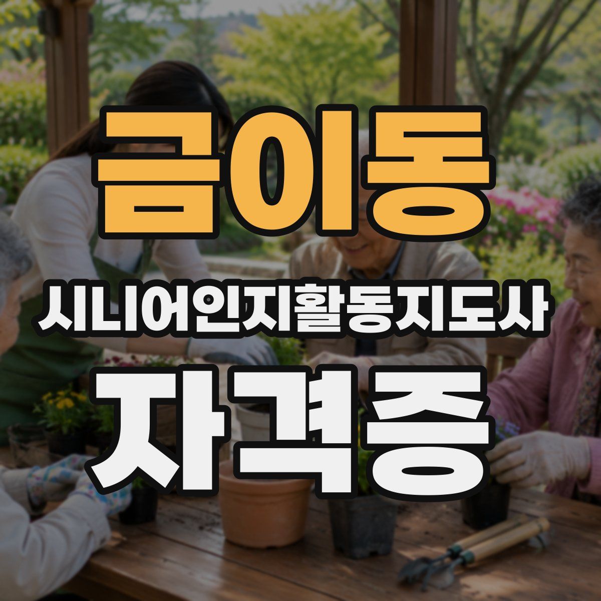 금이동 시니어인지활동지도사 자격증