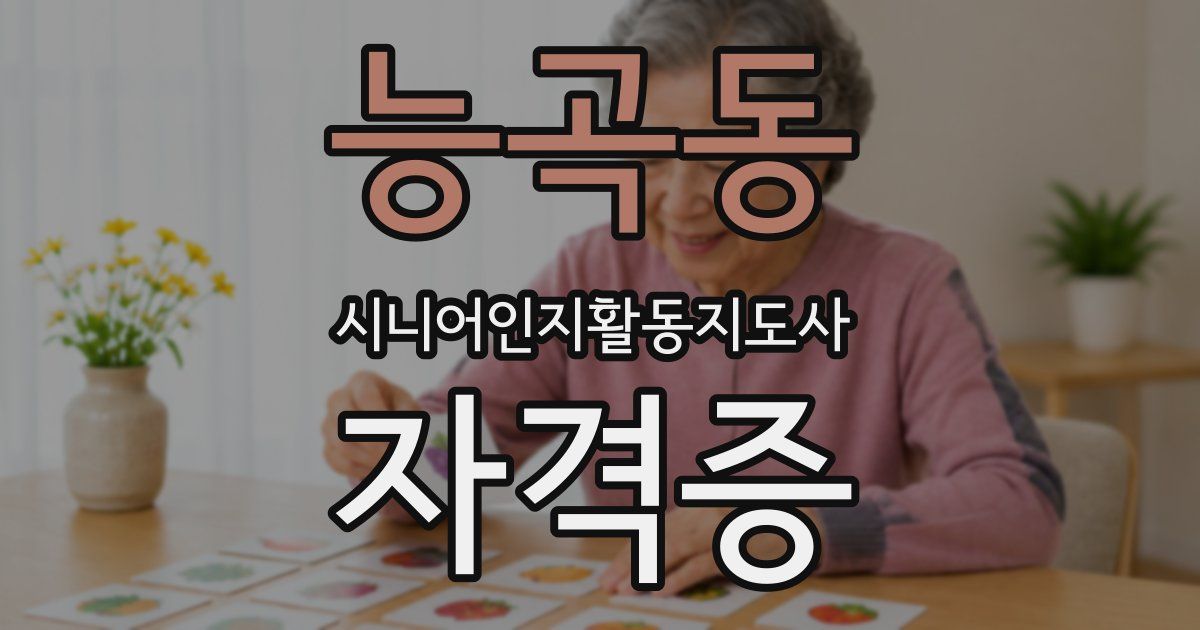 능곡동 시니어인지활동지도사 자격증
