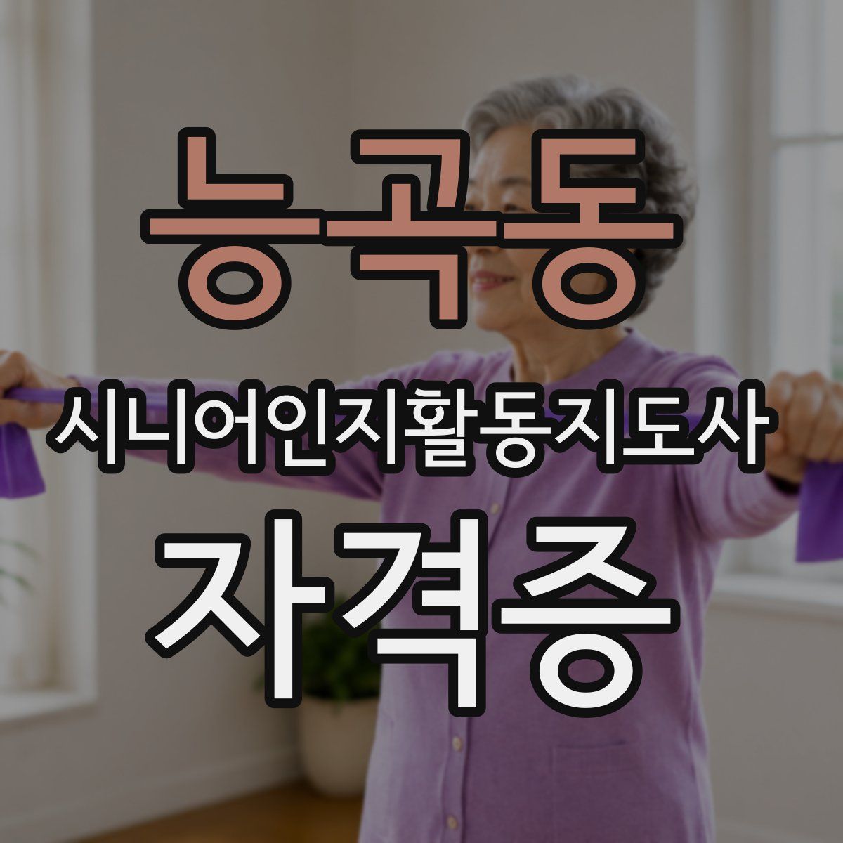 능곡동 시니어인지활동지도사 자격증