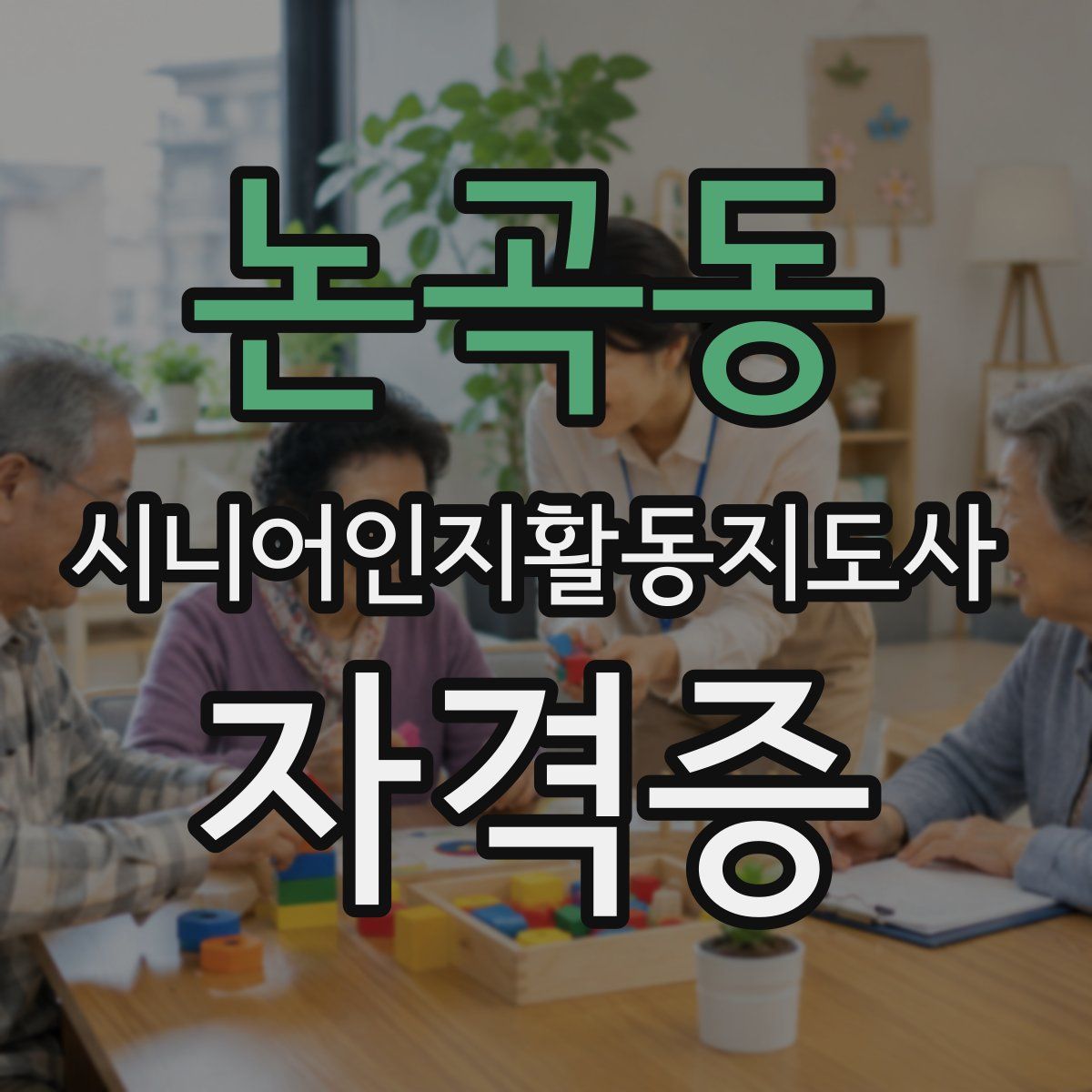 논곡동 시니어인지활동지도사 자격증