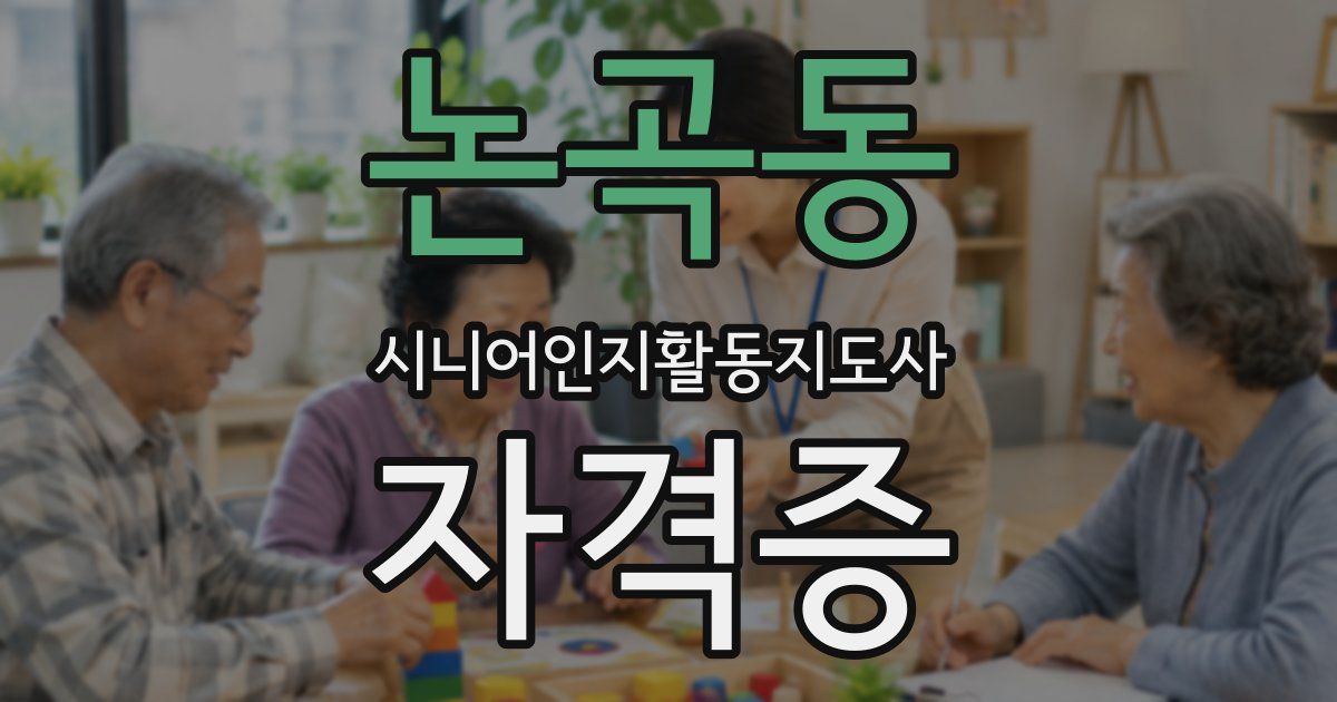 논곡동 시니어인지활동지도사 자격증