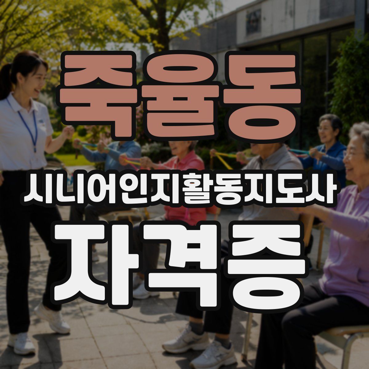 죽율동 시니어인지활동지도사 자격증