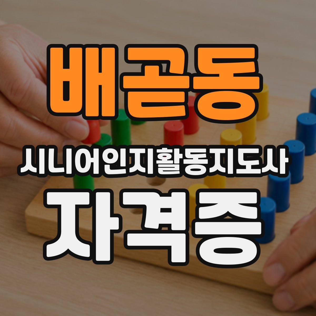 배곧동 시니어인지활동지도사 자격증