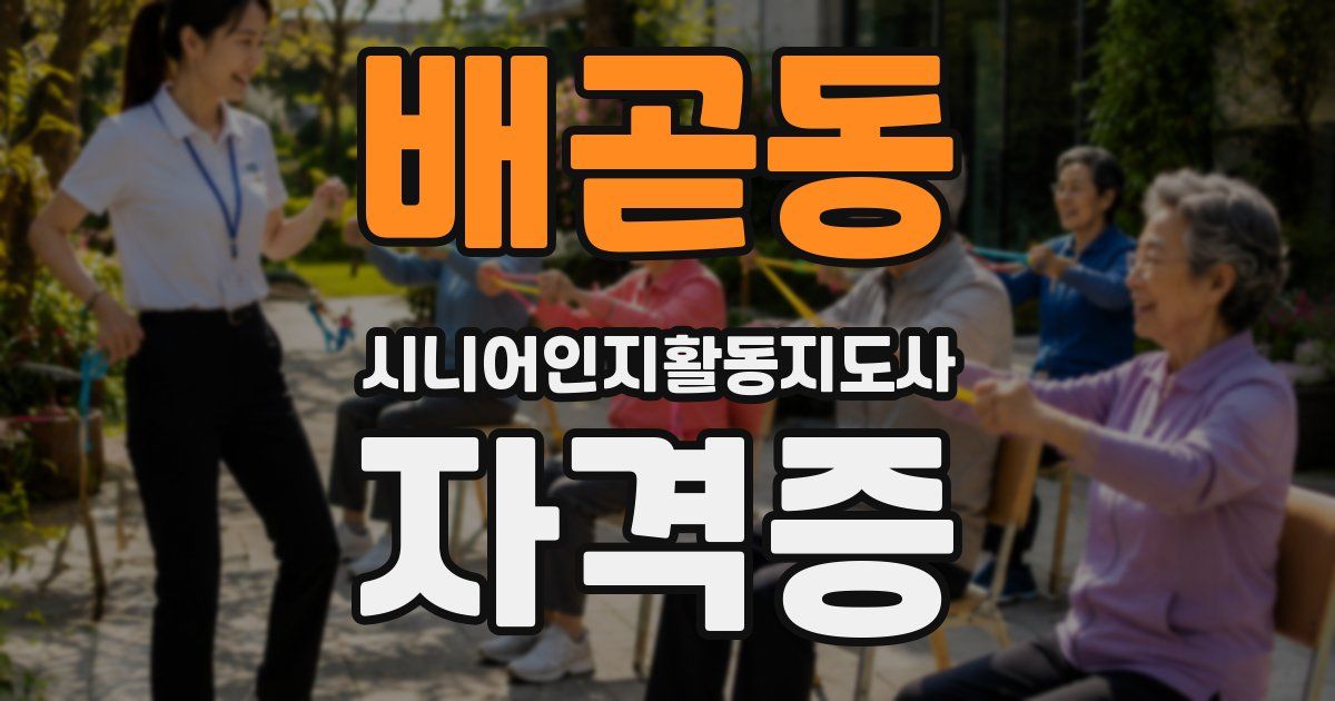 배곧동 시니어인지활동지도사 자격증
