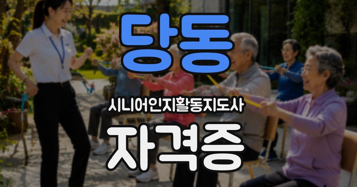당동 시니어인지활동지도사 자격증