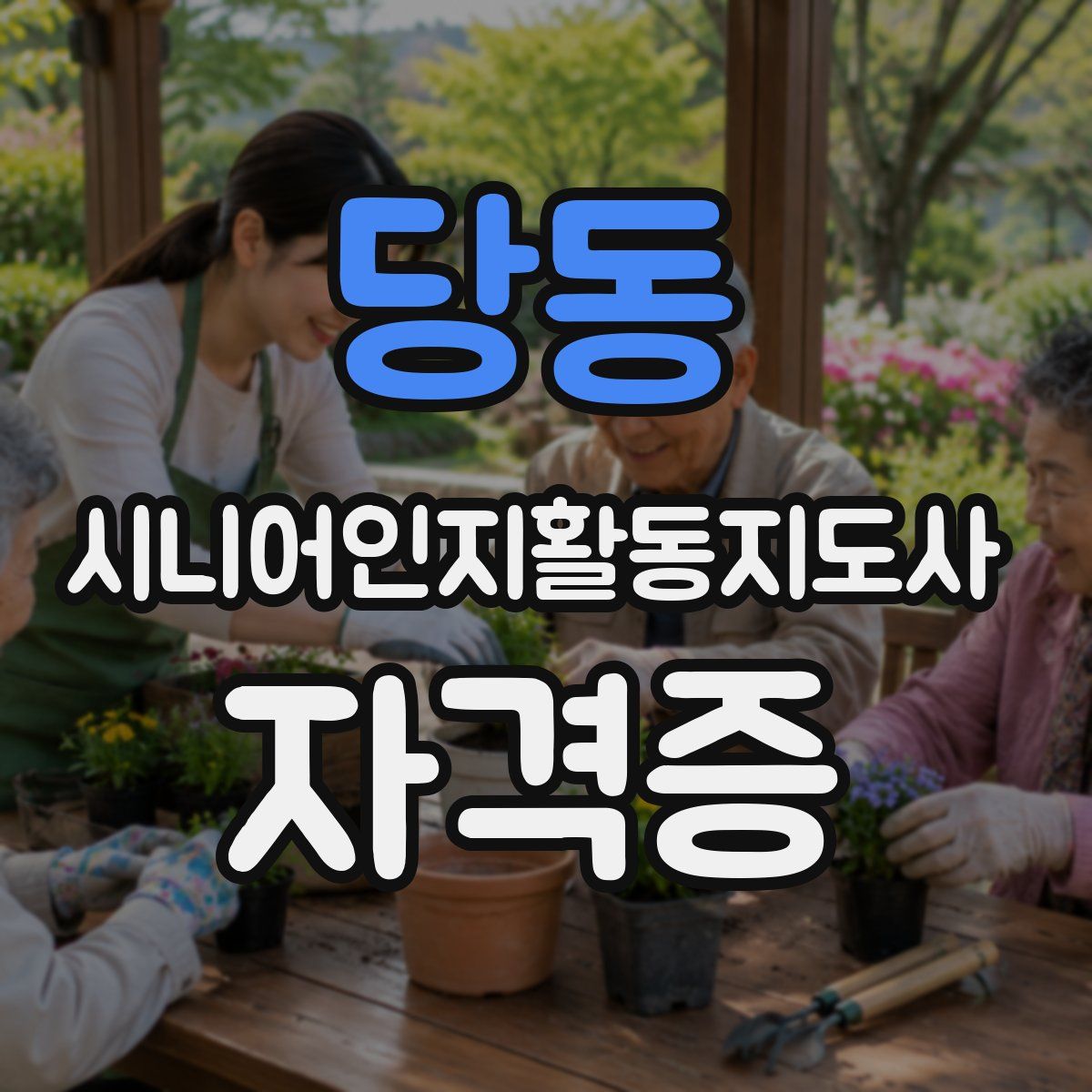 당동 시니어인지활동지도사 자격증