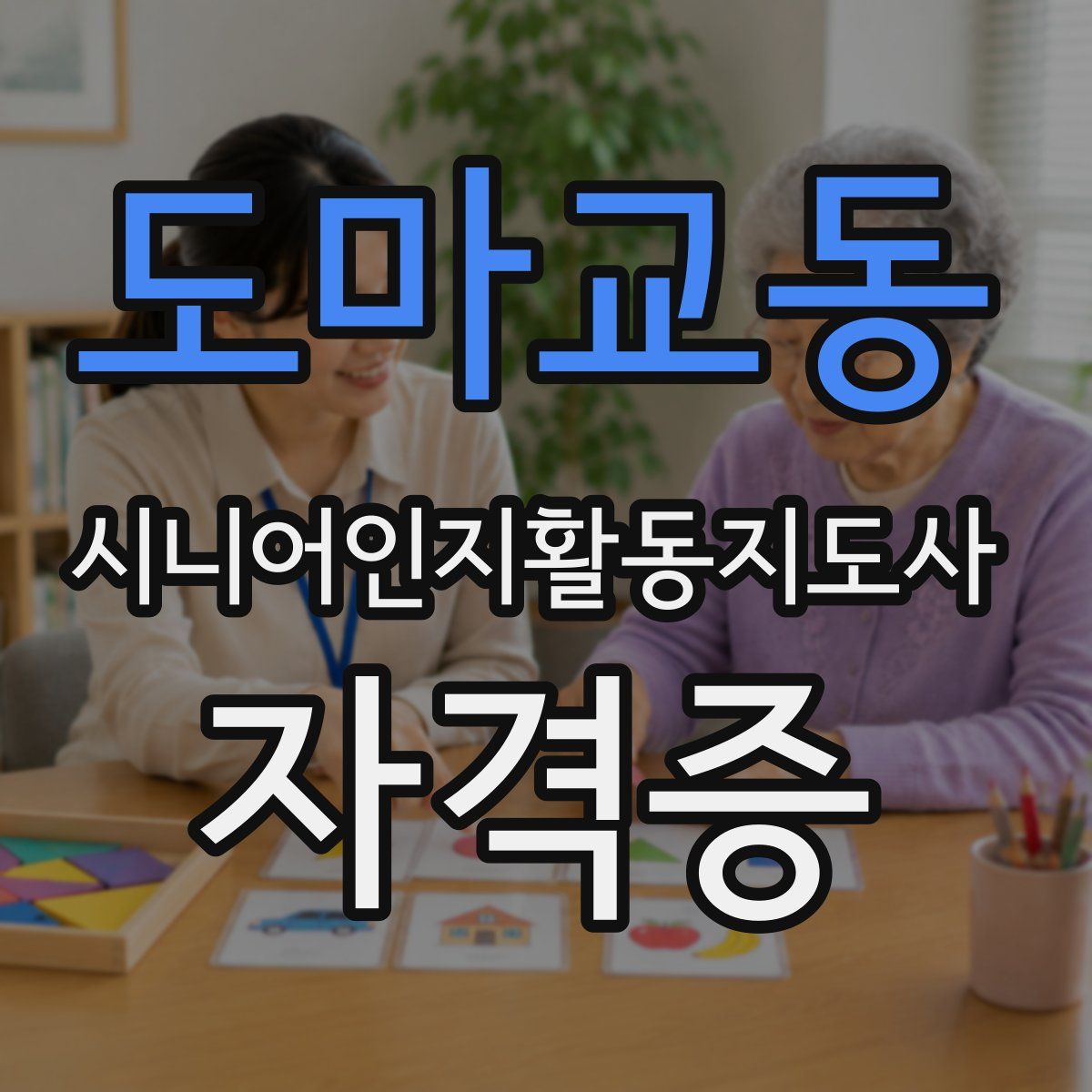 도마교동 시니어인지활동지도사 자격증