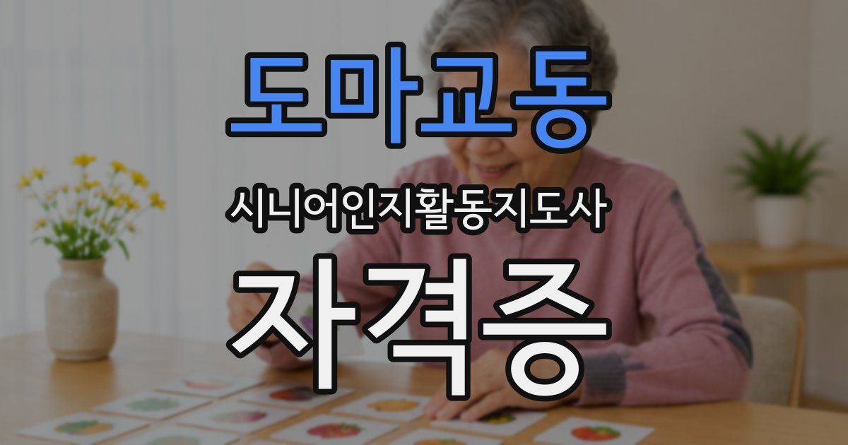 도마교동 시니어인지활동지도사 자격증