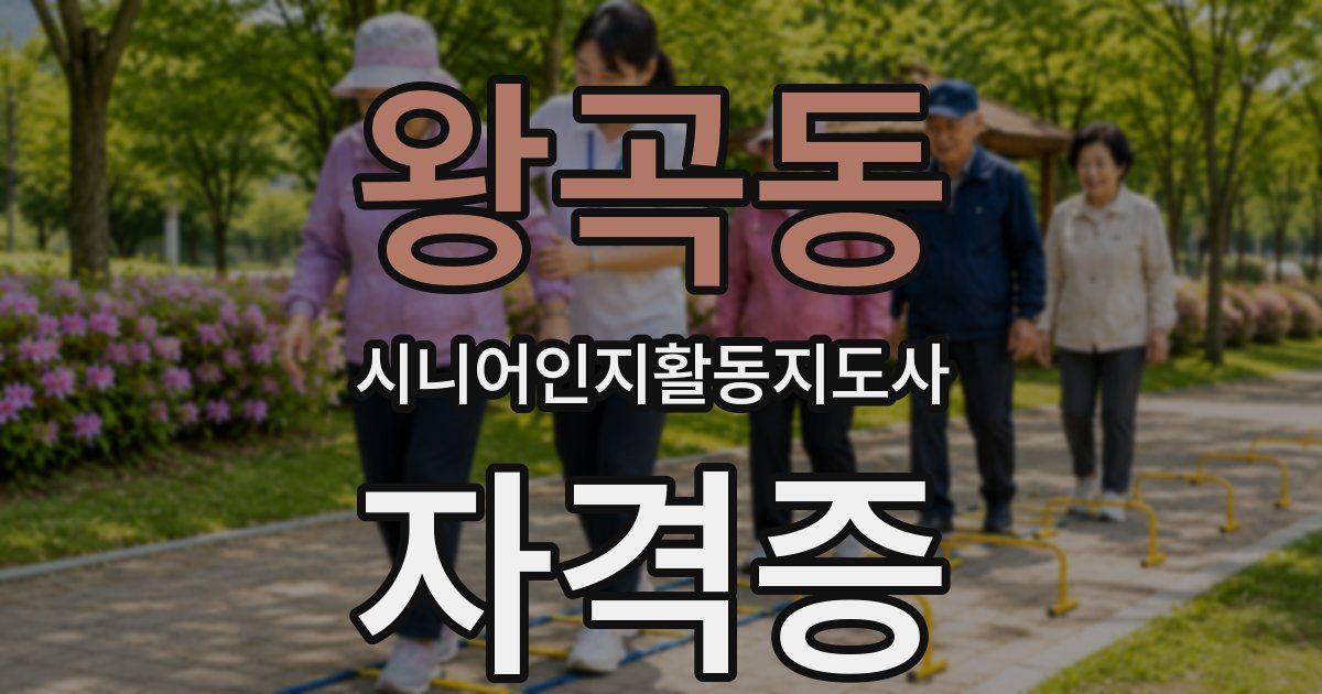 왕곡동 시니어인지활동지도사 자격증