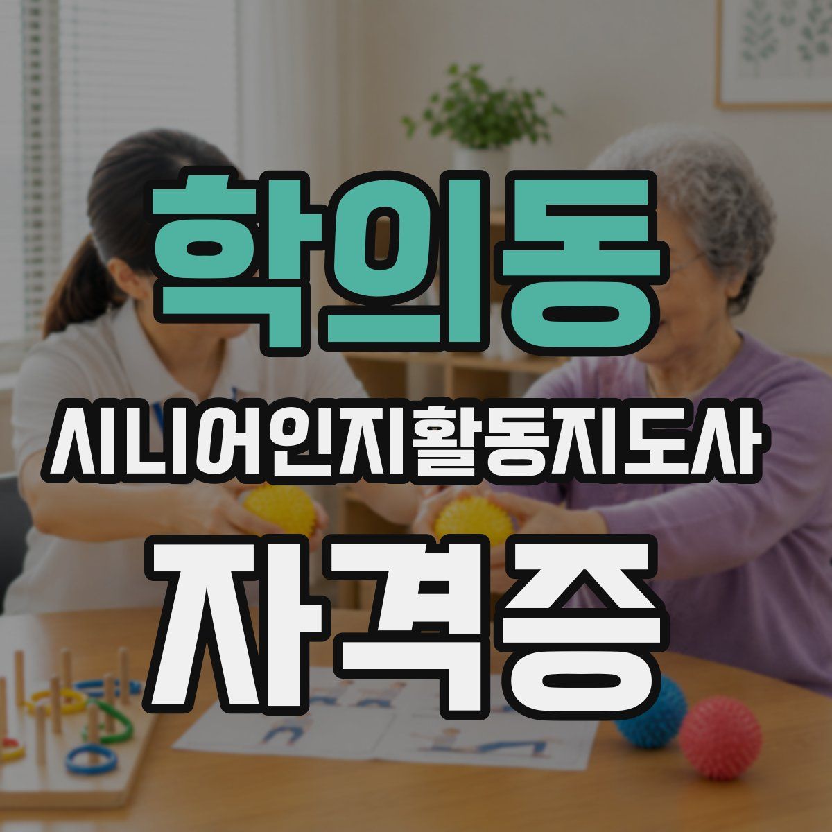 학의동 시니어인지활동지도사 자격증