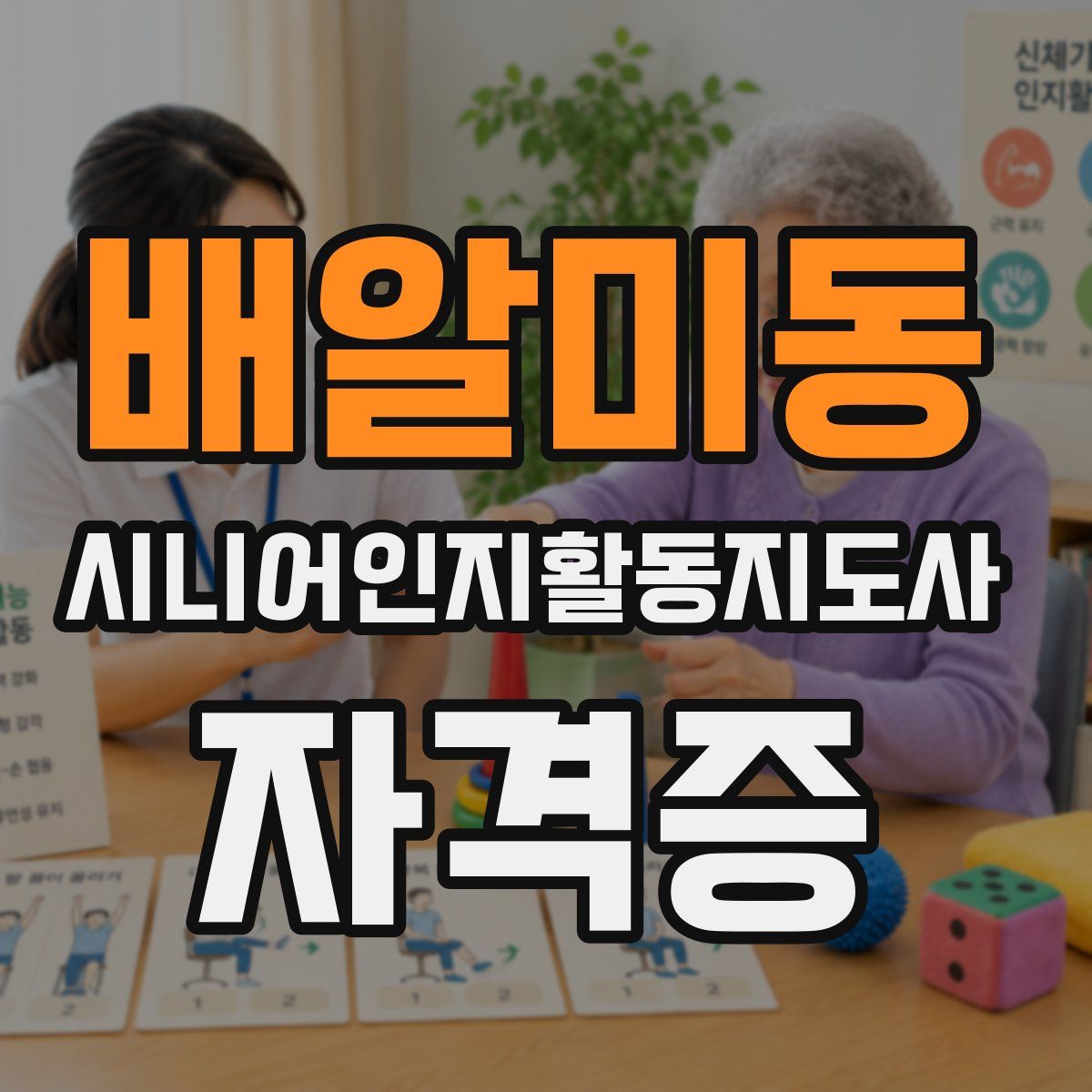 배알미동 시니어인지활동지도사 자격증