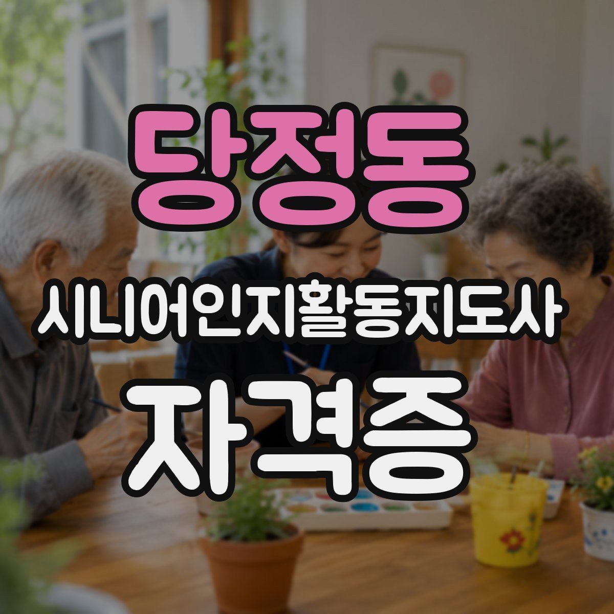 당정동 시니어인지활동지도사 자격증