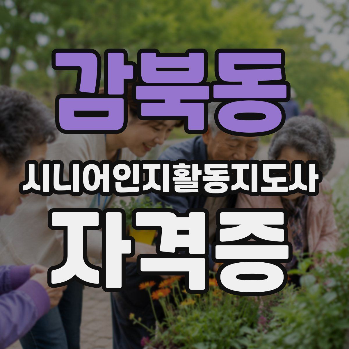 감북동 시니어인지활동지도사 자격증