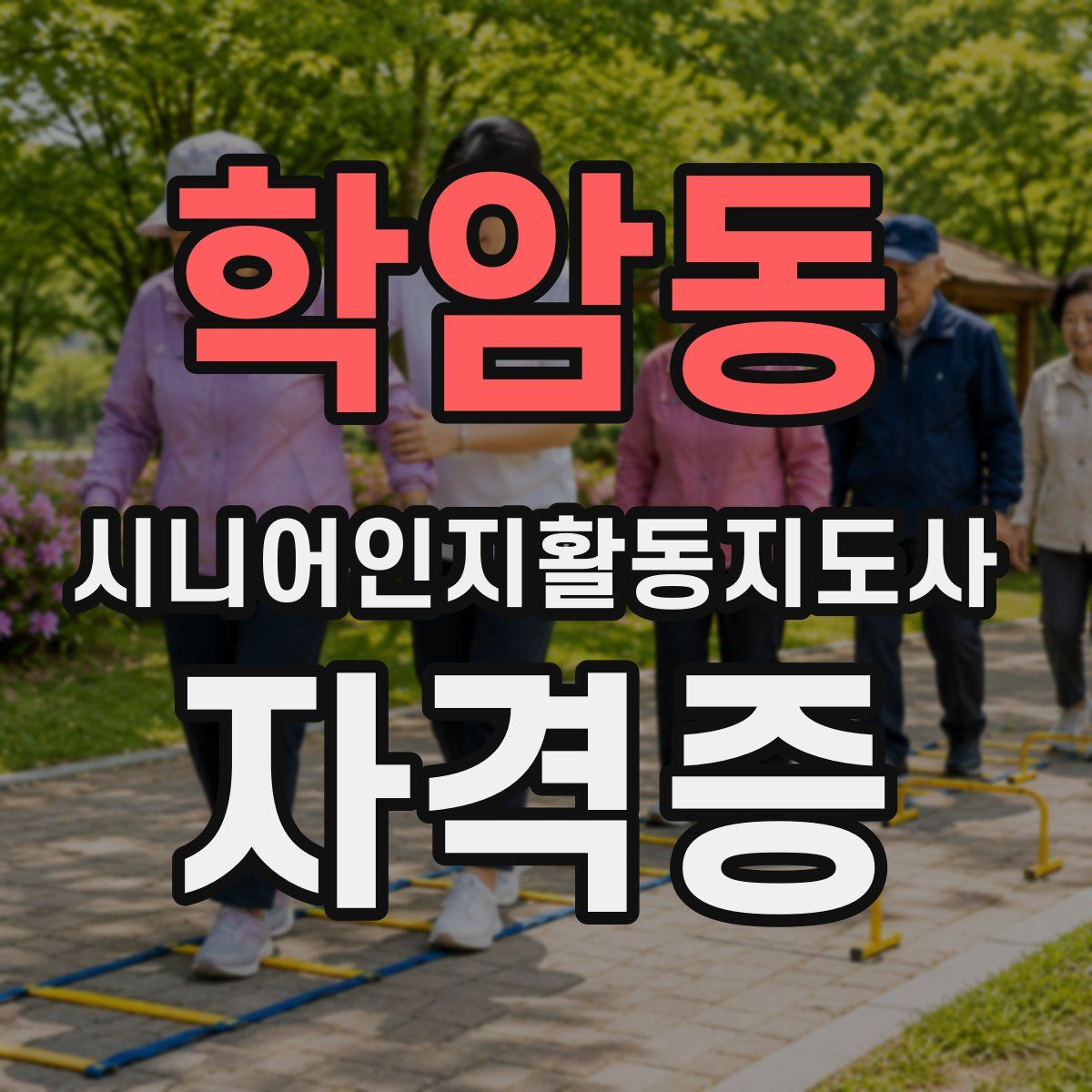 학암동 시니어인지활동지도사 자격증