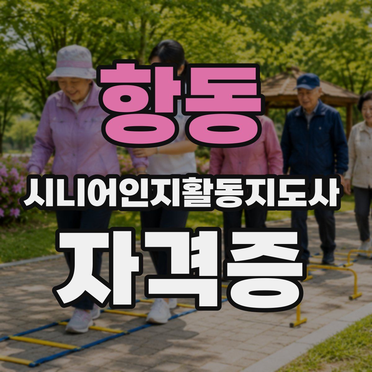 항동 시니어인지활동지도사 자격증